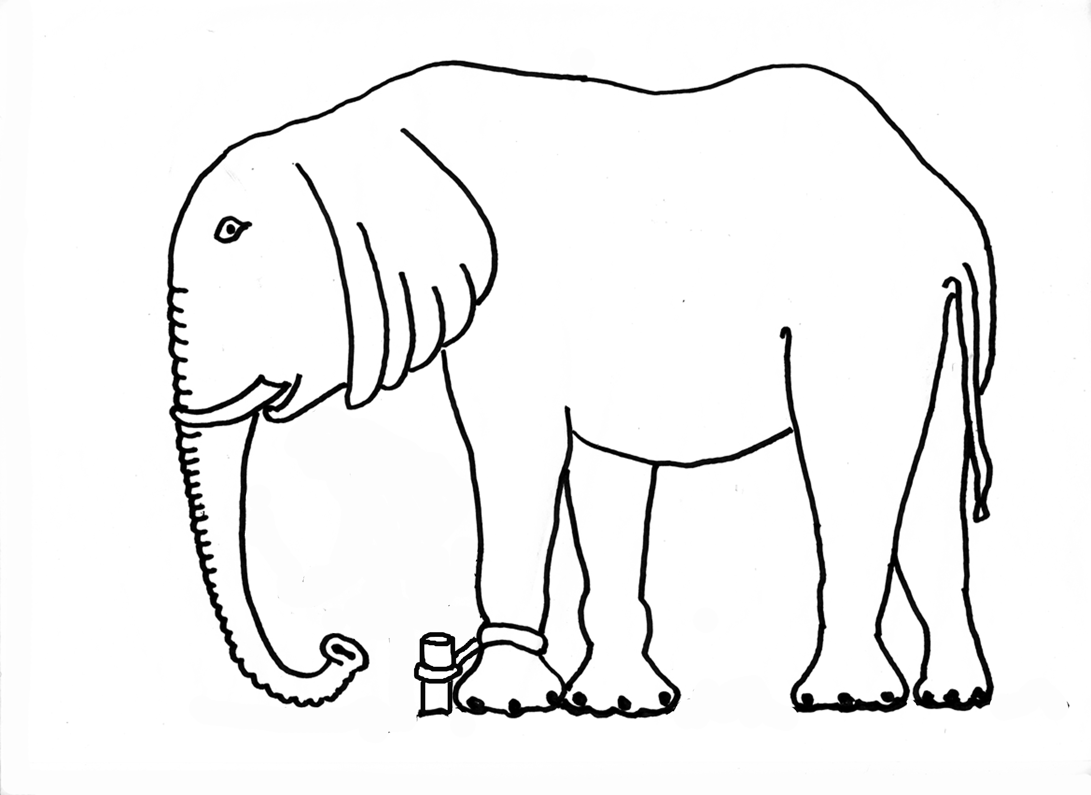 sandwichelephant.jpg